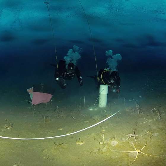 Science Divers Systematically Sample Sediments