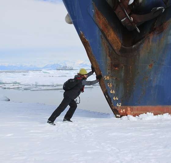 Antarctica Top Predator programme