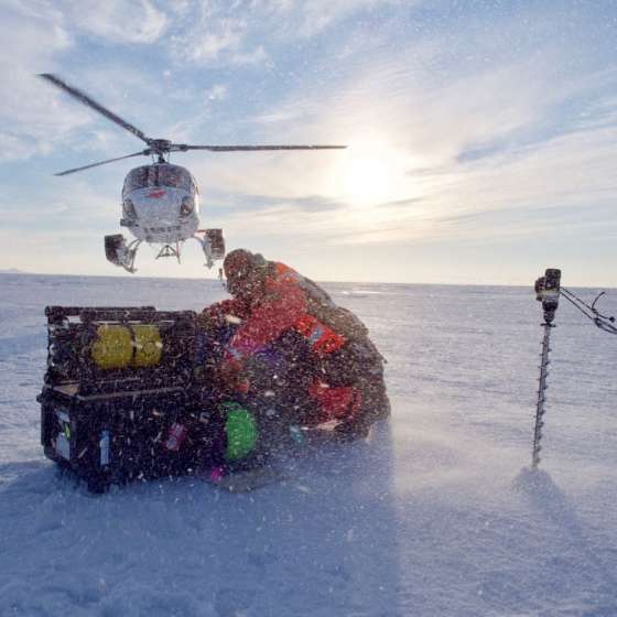 A night out with the whales in Antarctica…