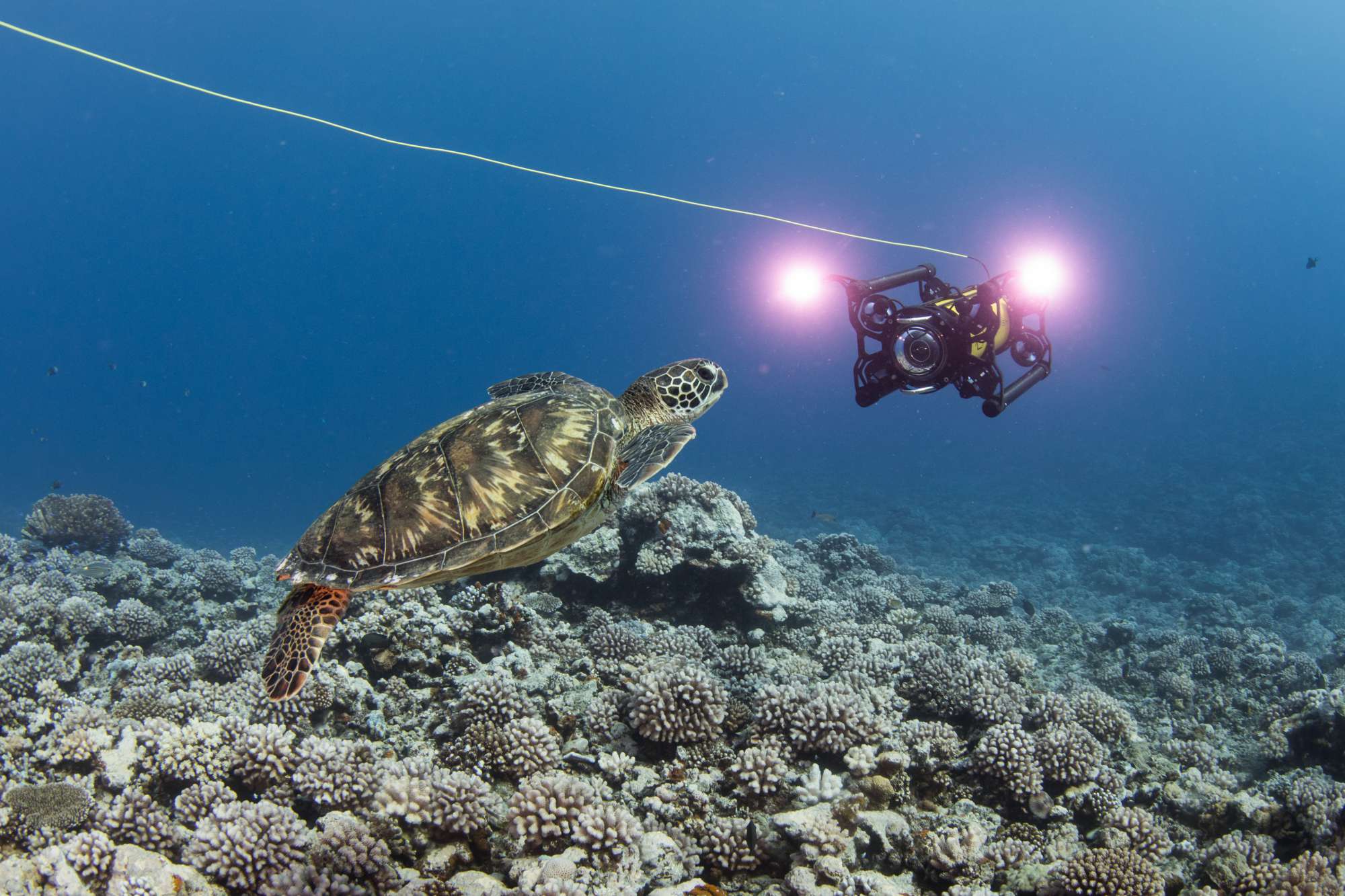 Boxfish ROV and HAUV Brochures, Flyers and Catalogue