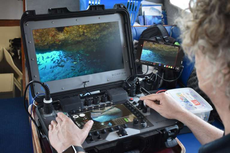 Pronal Rov Panel What is the Difference Between an AUV and ROV?