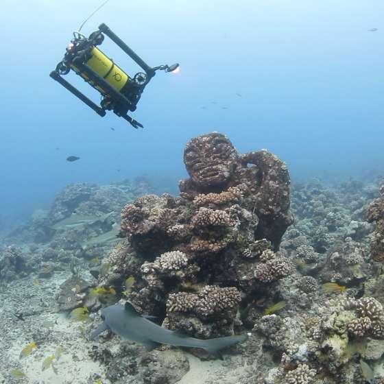 Boxfish Research Observation Class ROV in Action