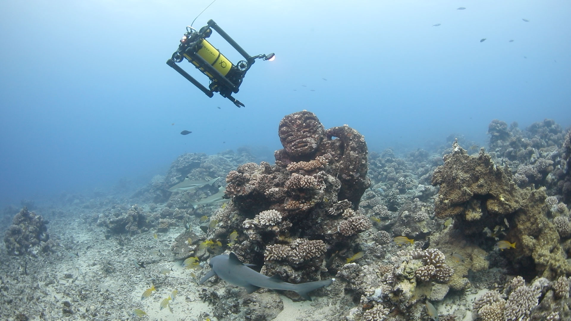 Customer Reviews about Boxfish ROVs and AUVs