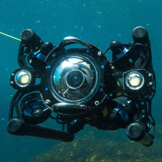 Boxfish ROV underwater miniROV at marine reserve Poor Knights New Zealand