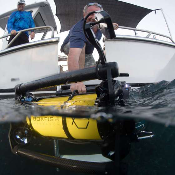 Boxfish ROV launching from the boat at PNG