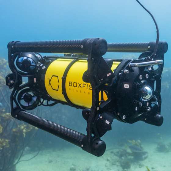 Boxfish ROV underwater inspecting seabed at Poor Knights