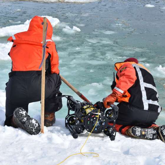 Boxfish ROV for marine science