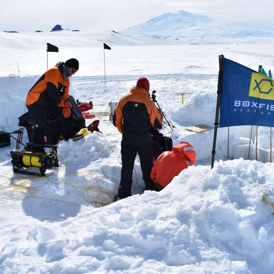 Dr. Regina Eisert’s Antarctica Expedition 2020 Highlights