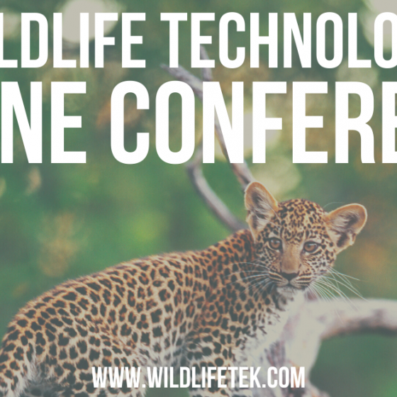 Ben King Speaking at Wildlife Tech Online Conference