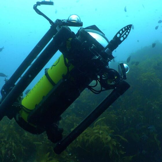Boxfish Luna ROV with Reach Robotics Grabber Accessory from the side