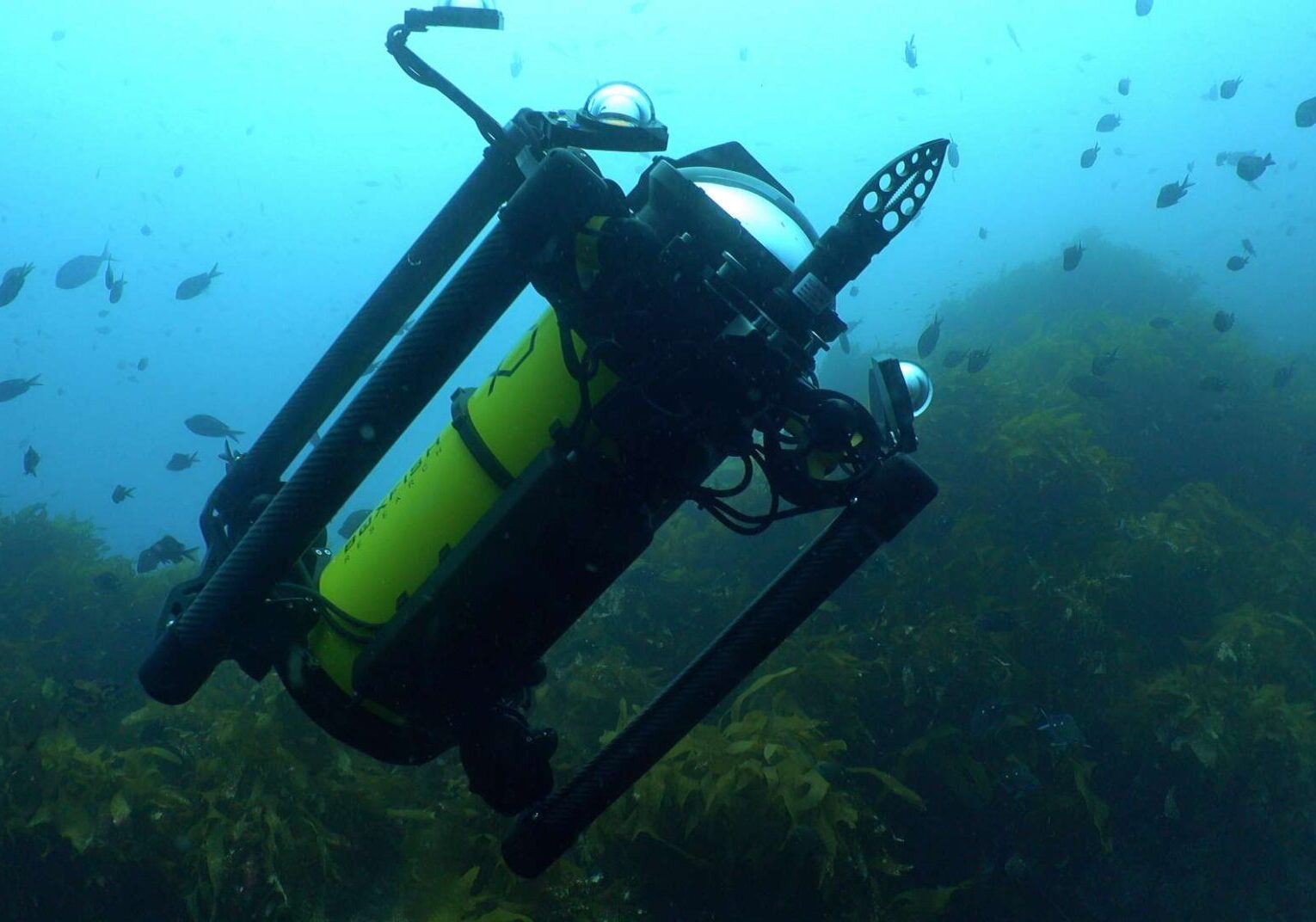 Boxfish Luna ROV with Reach Robotics Grabber Accessory from the side