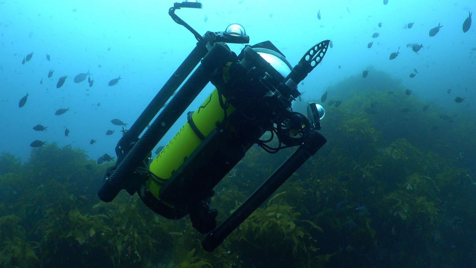 Blueprint Lab Single Action ROV grabber Mounted on Boxfish Luna Underwater Drone