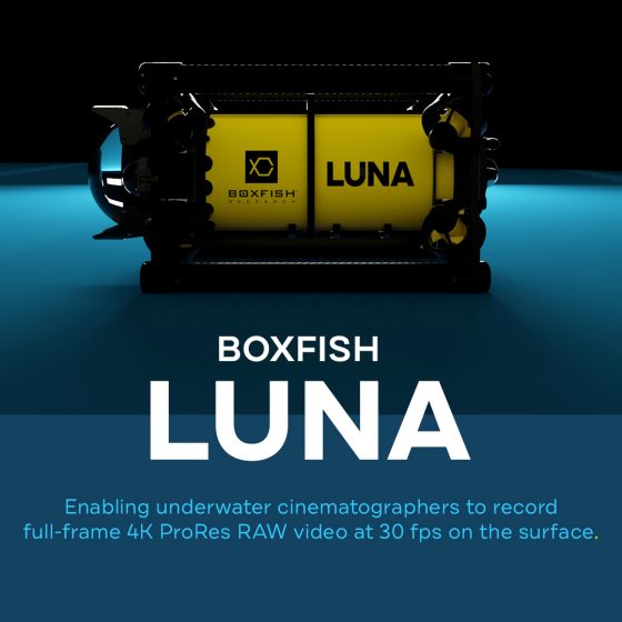Boxfish Luna New Feature: ProRes RAW Video Capture