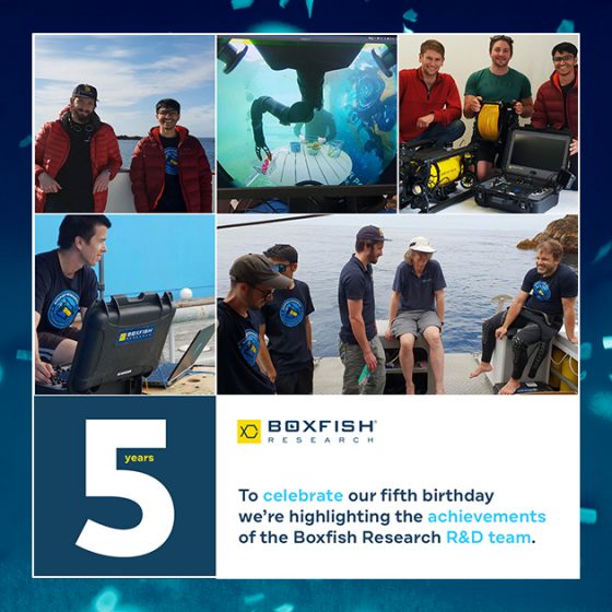 Celebrating Five Years of R&D!