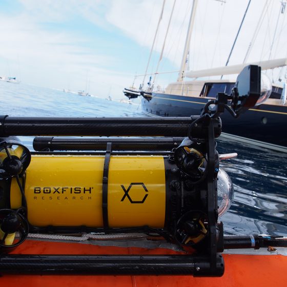 Boxfish Research Showcased at METSTRADE