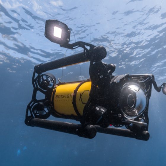 Boxfish ROV Underwater with Lights On