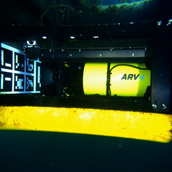 ARV-i in Dock under the water. A screen grab from video footage.