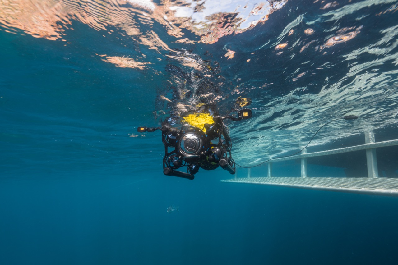 Boxfish ROV launching. Image for Hutchwilco NZ Boat Show 2022