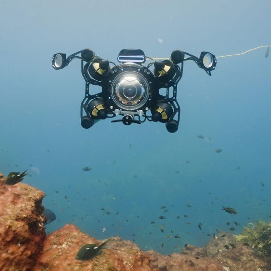 Boxfish ROV equipped with imaging sonar and grabber