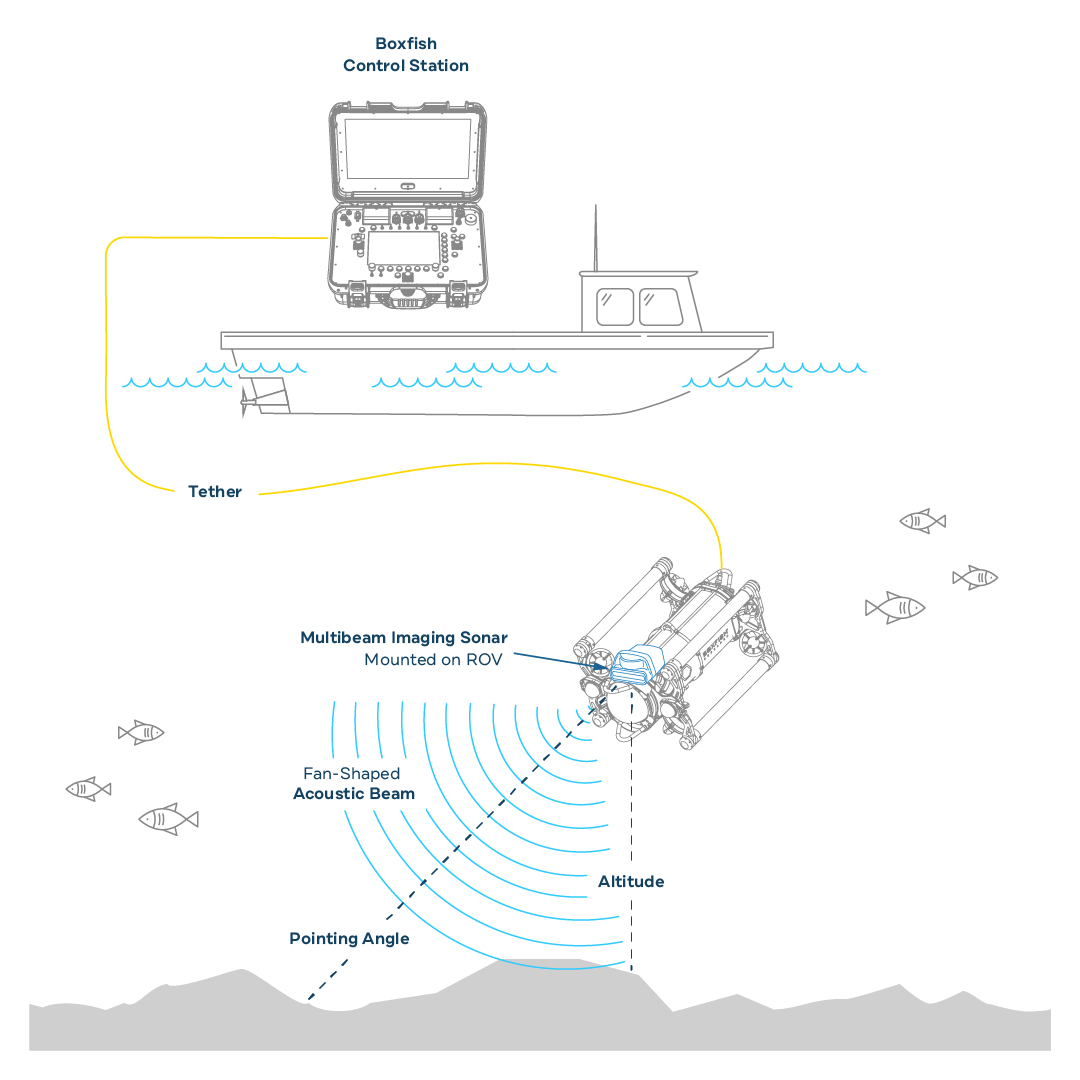 Diagram Showing How Boxfish ROV Multibeam Imaging Sonar Works