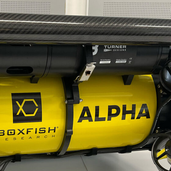 Turner Designs Submersible Fluorometer Attached to a Boxfish Alpha ROV