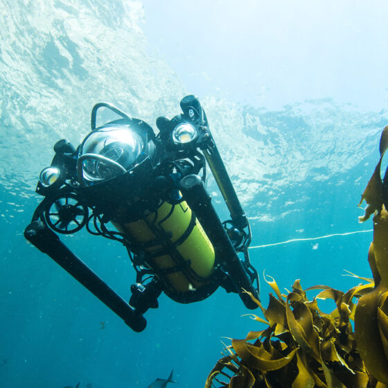 Introducing Autonomous ROV Capability