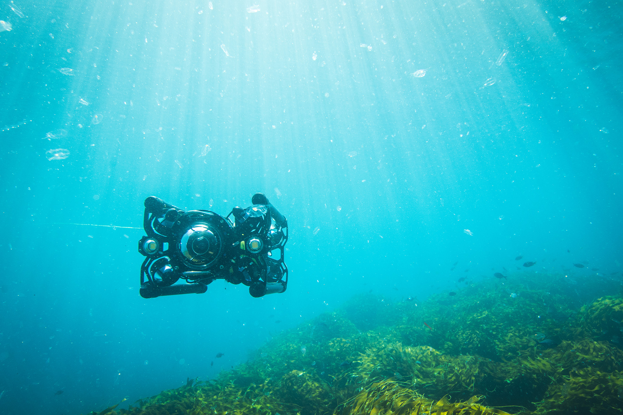 Autonomous Capable Boxfish ROV