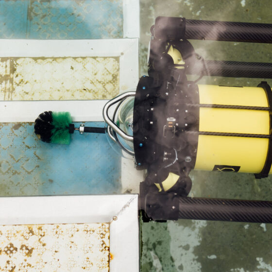 Boxfish ROV Cleaning Brush in Action