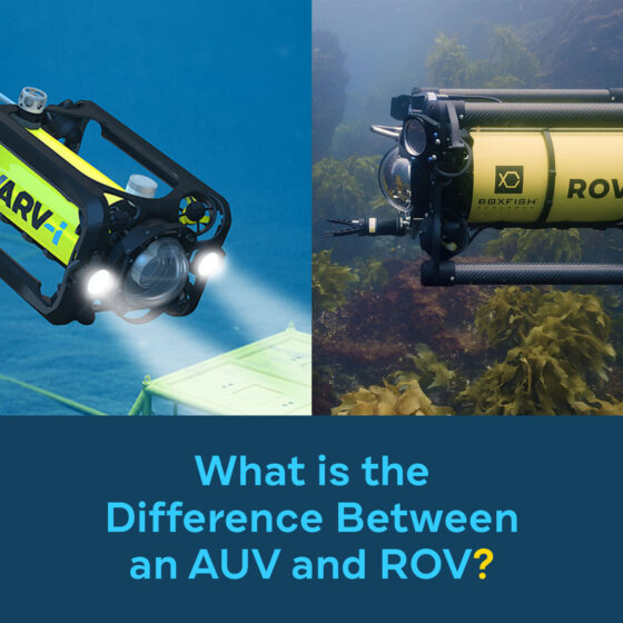 What is the Difference Between an AUV and ROV?