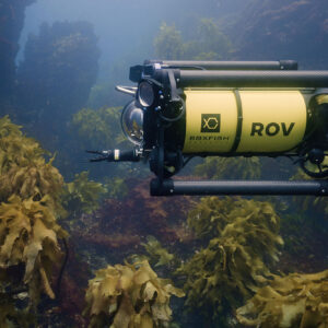 Boxfish ROV - How to Choose the Best ROV