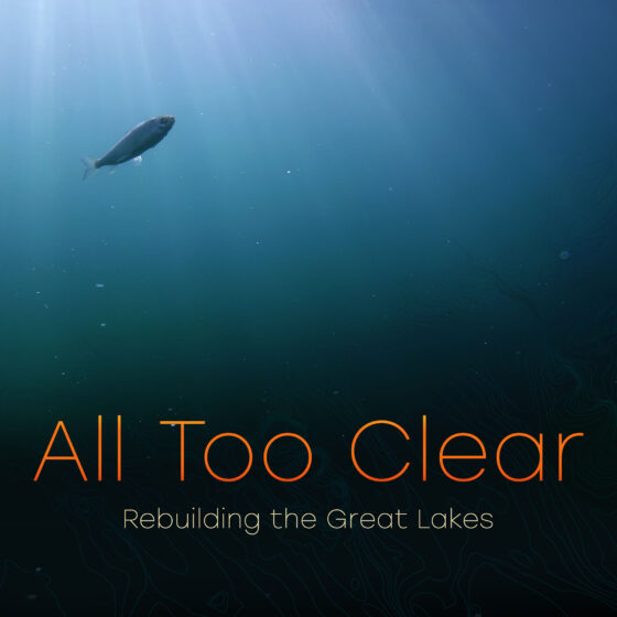Great Lakes Documentary Explores Beneath With Boxfish Luna