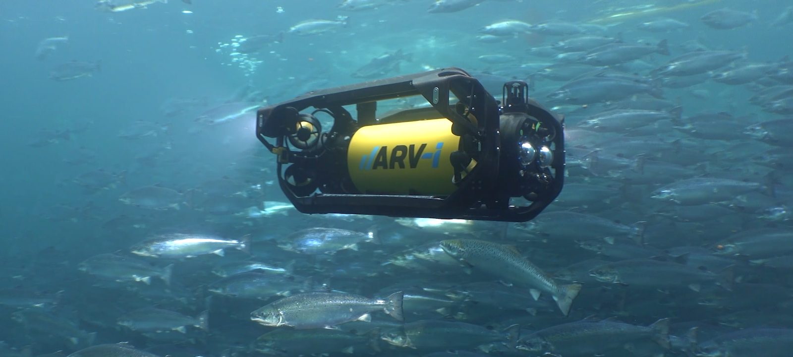 Resident Autonomous Underwater Vehicle for Aquaculture inside the Net