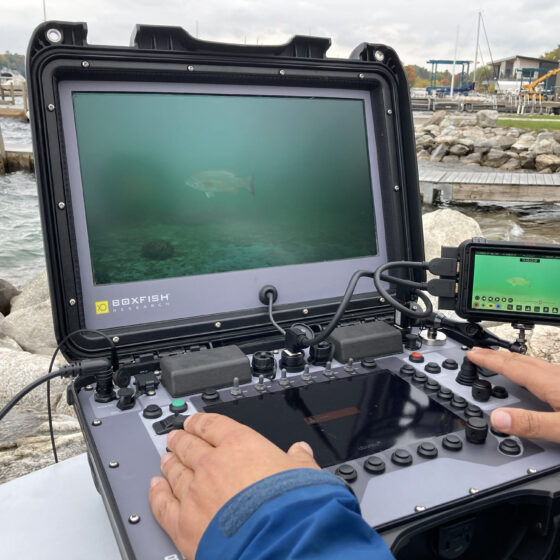 Boxfish Luna Control Console Showing Underwater Wildlife Filmmaking Footage