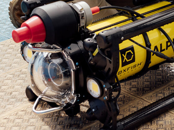 Boxfish Alpha ROV Profiling Sonar Accessory