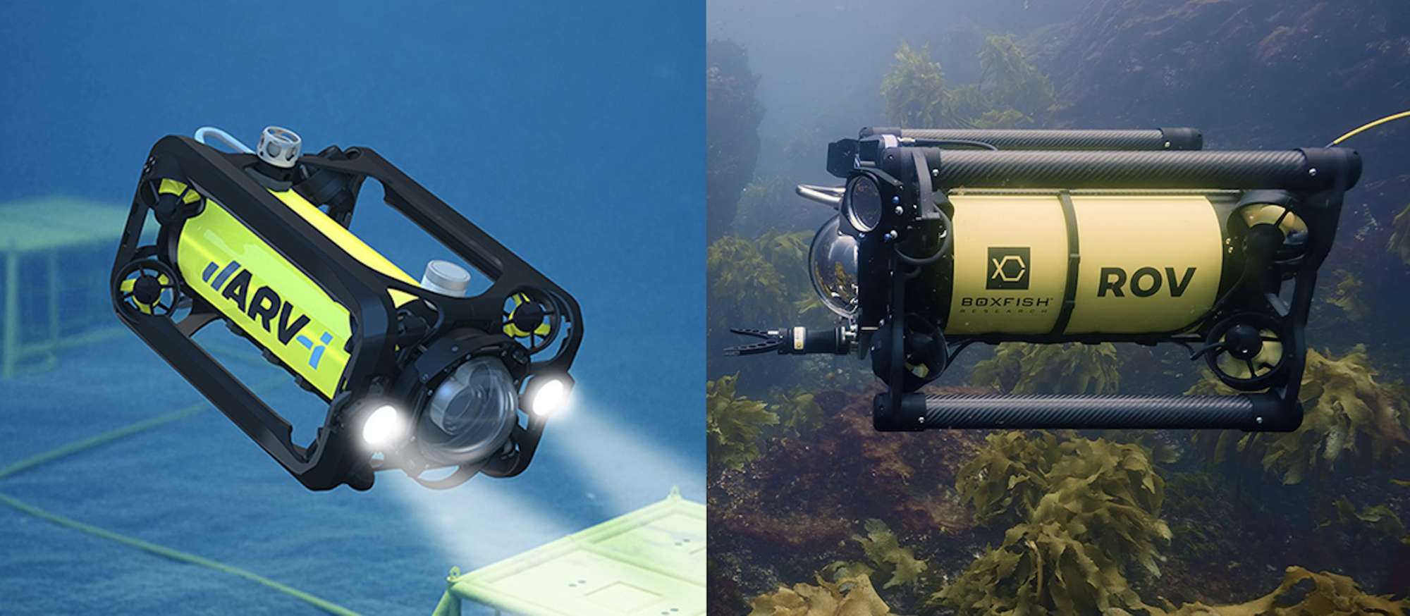 Boxfish HAUV and ROV on one image underwater 