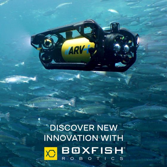 Boxfish Research renames to Boxfish Robotics