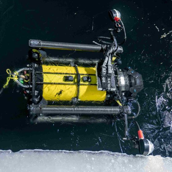 Boxfish Luna in the ice hole.