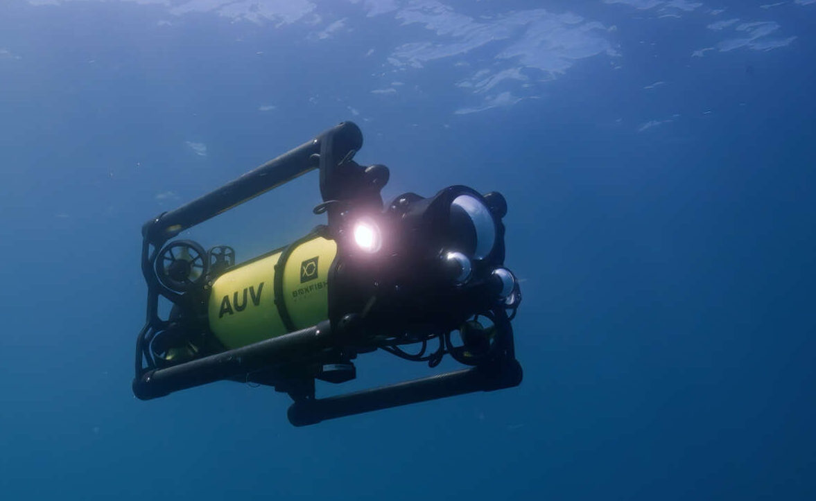 Underwater Autonomous Boxfish AUV on a Mission