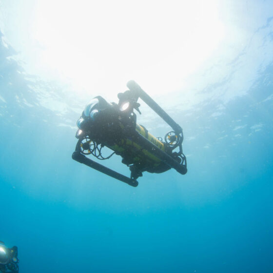 Navigating the Depths: Boxfish Robotics’ Advanced AUV Navigation System