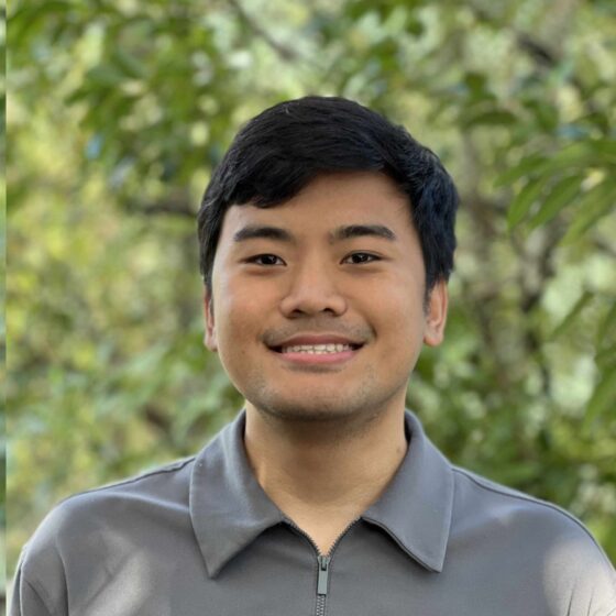 Gold Giron Electronic Technician for Boxfish