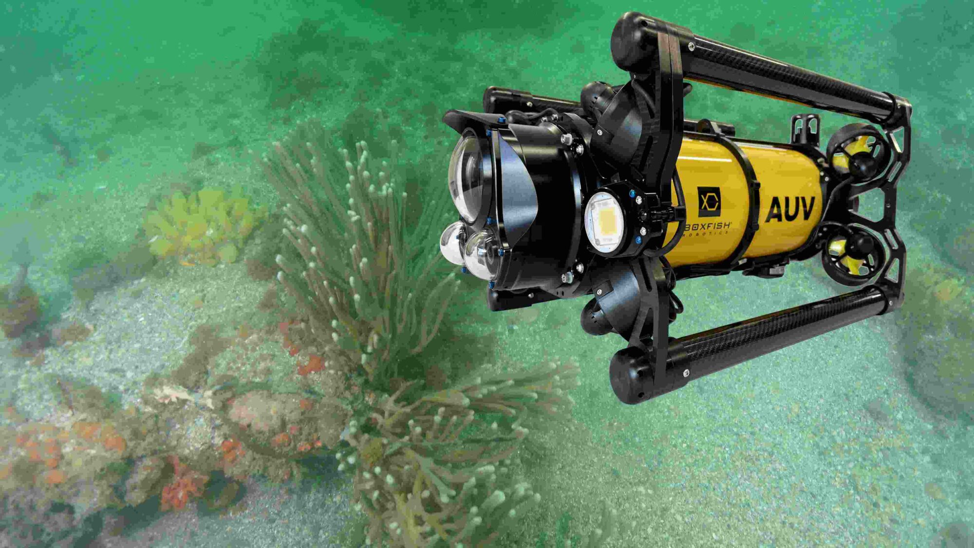 Autonomous Transect Video Surveys with Boxfish AUV