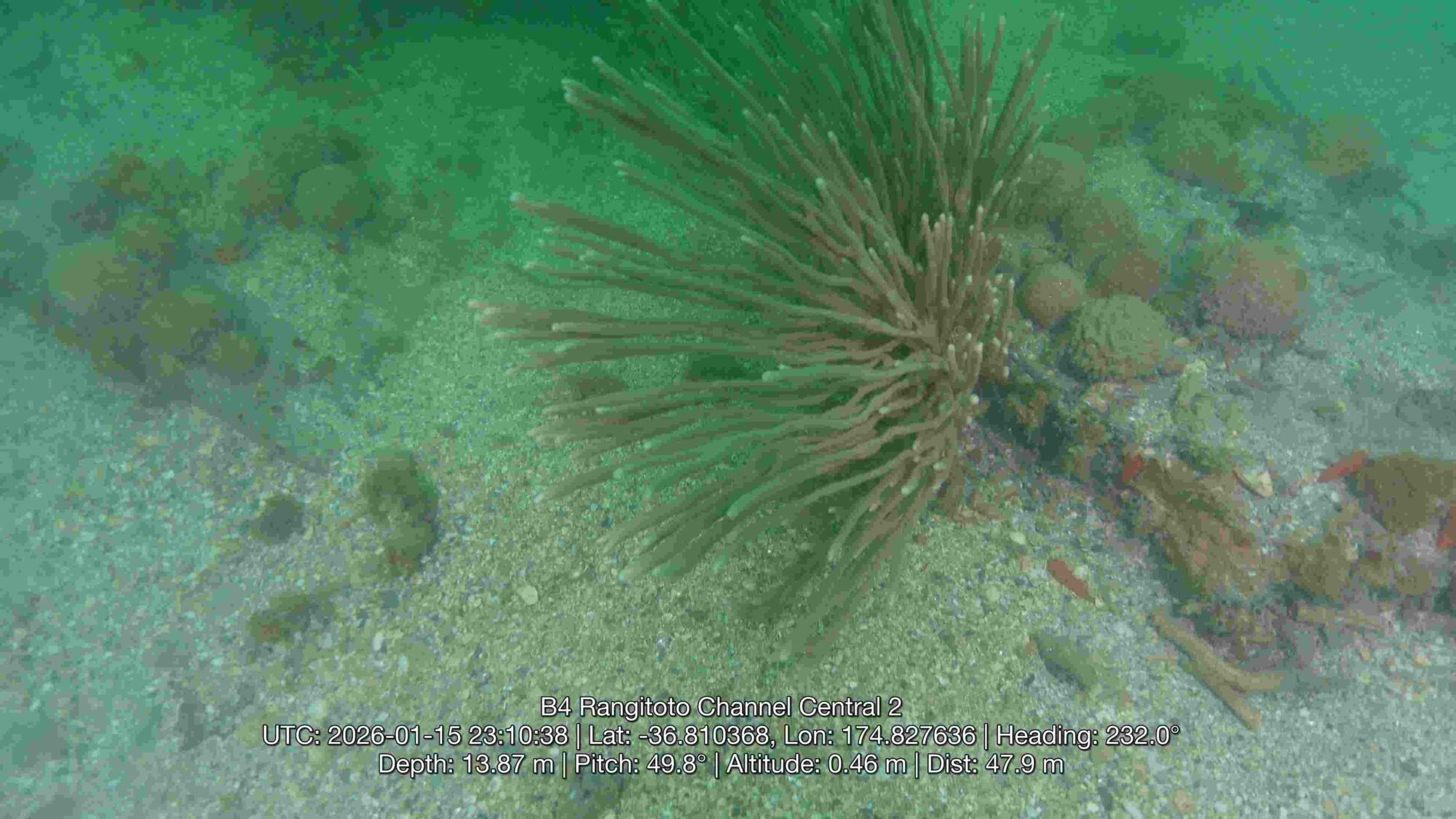 AUV transect survey collecting seabed imagery