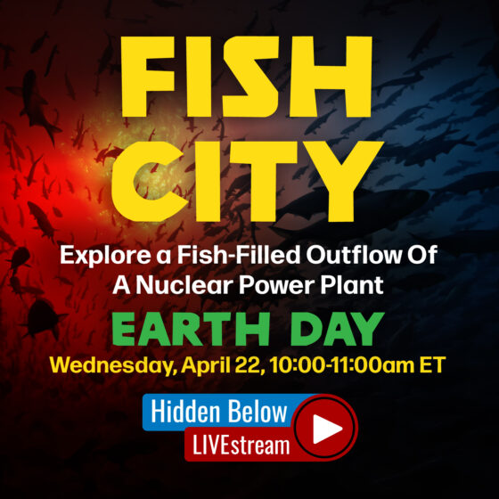 Live with Inspired Planet Productions : Hidden Below LIVE “Fish City” (Earth Day)