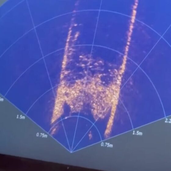 Sonar image of the tunnel. Courtesy of Deep Dive Division