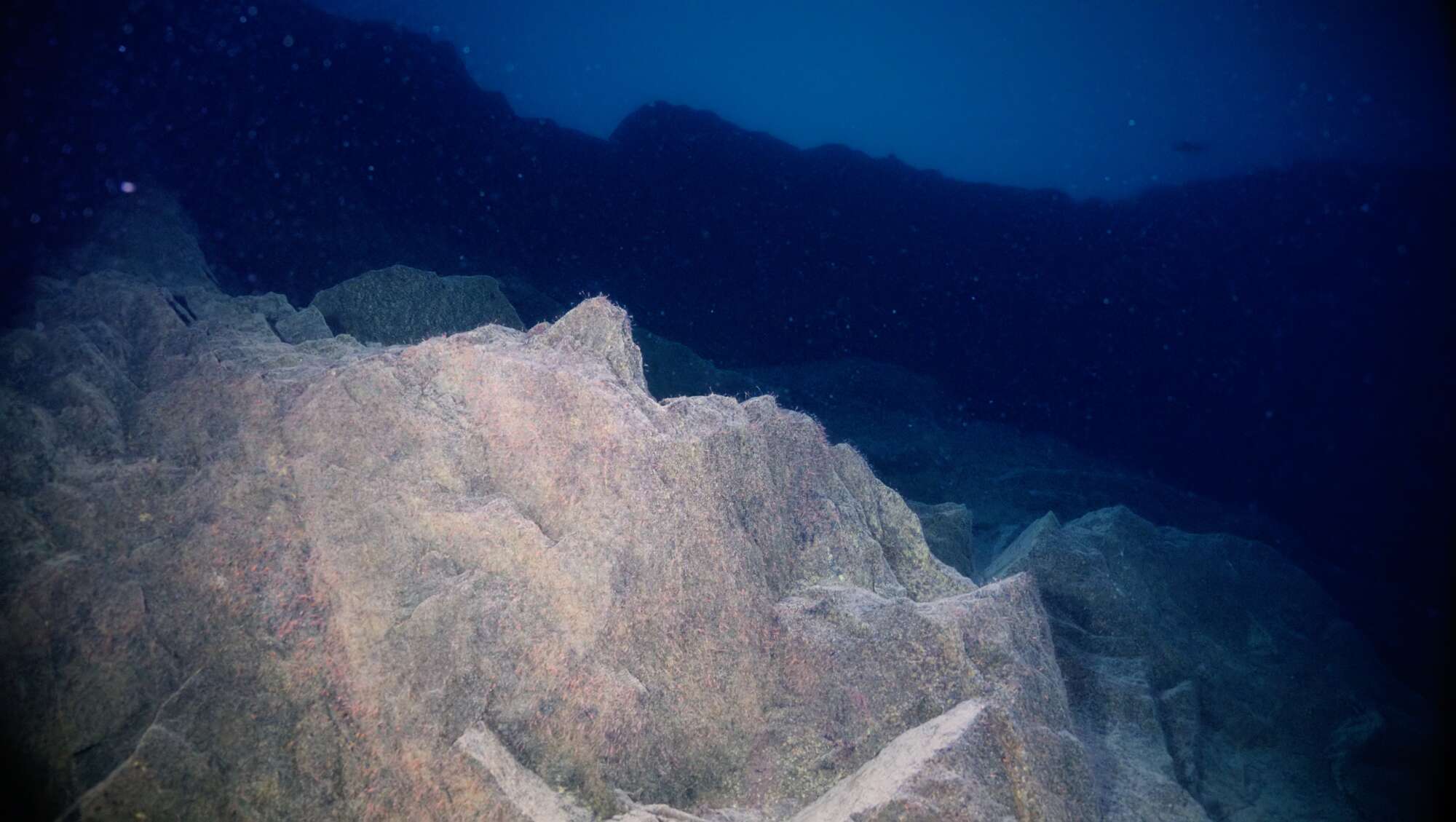 Underwater mountain filmed by the Boxfish Luna, Credit of Inspired Planet Production